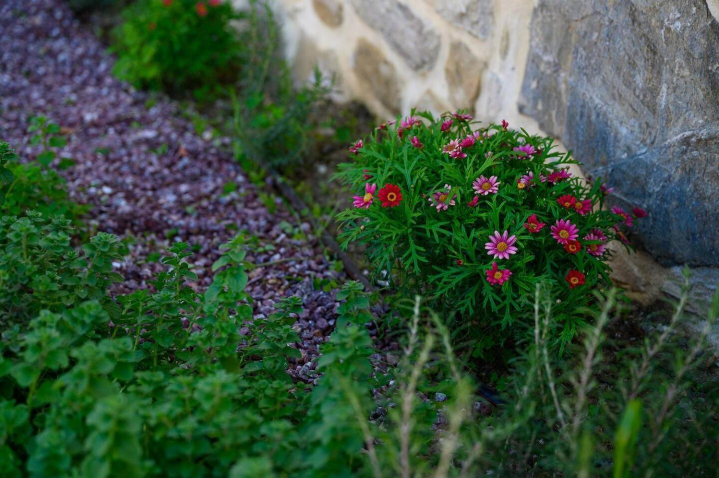 Physis Country House Near Matala Beach & Faistos Kouses Eksteriør bilde